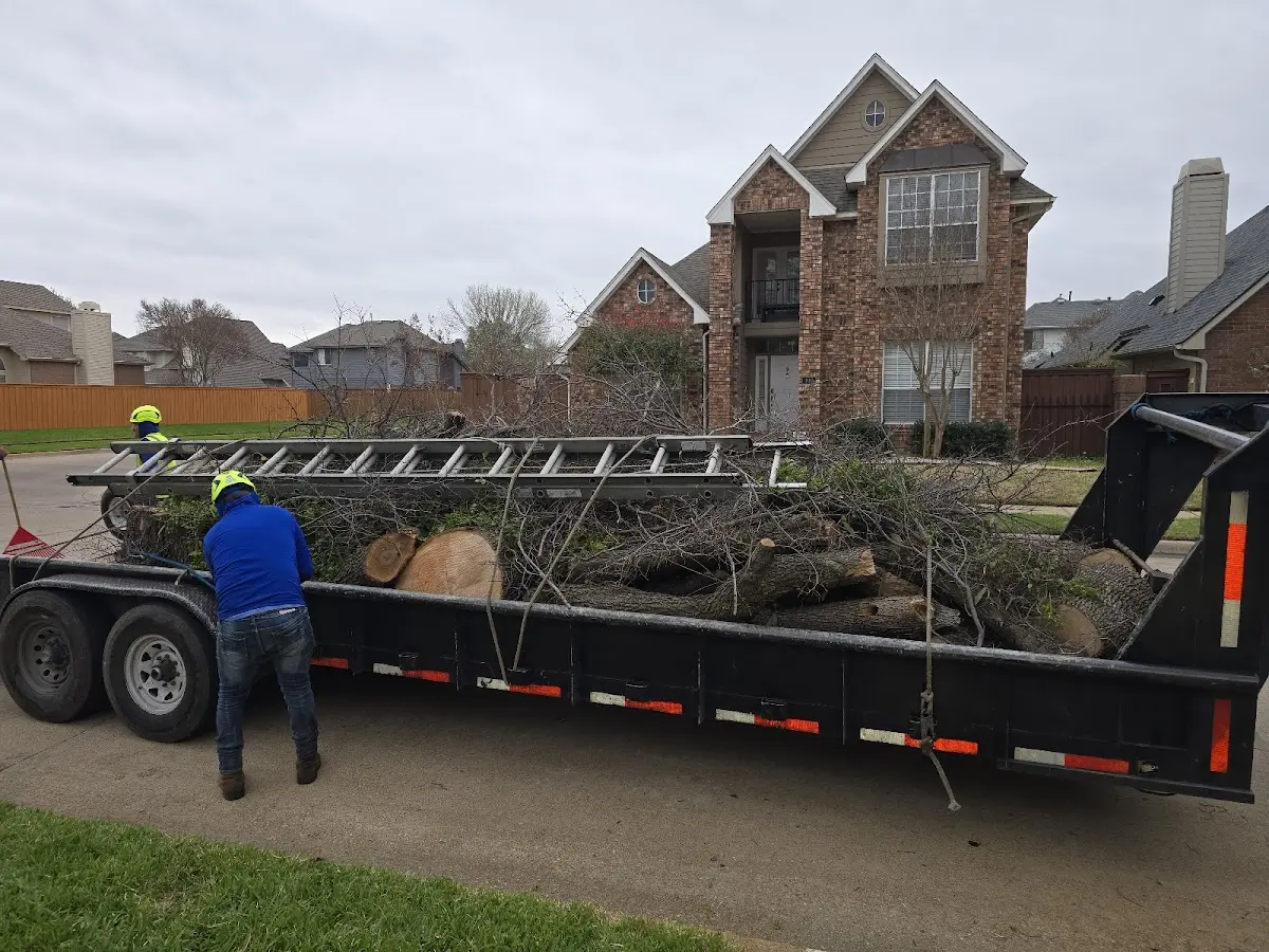 Expert Tree Fertilization with proper safety equipment in Altenburg